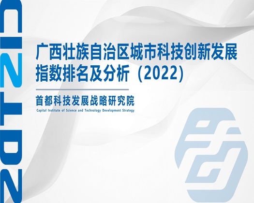 阴茎插逼视频【成果发布】广西壮族自治区城市科技创新发展指数排名及分析（2022）